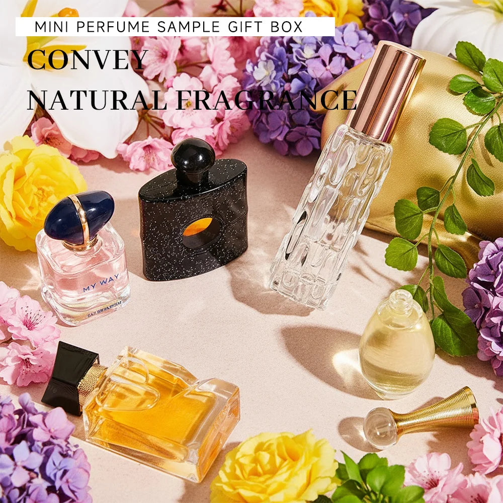 Ambre & Épice – Édition Luxe