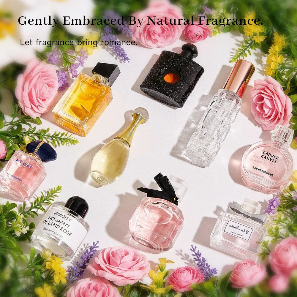 Ambre & Épice – Édition Luxe